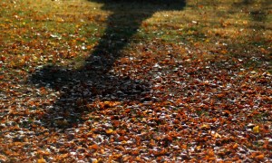 cross-shadow-kerepesi