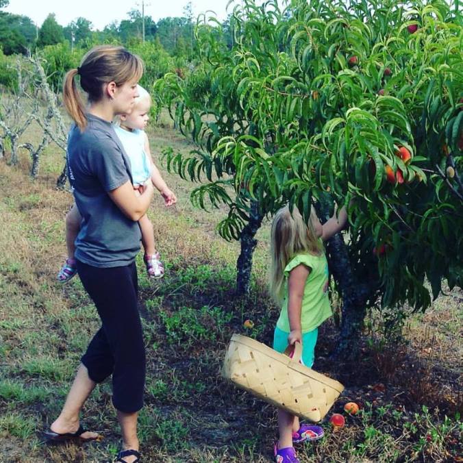 13615208_884782098526_6764067680600471414_n